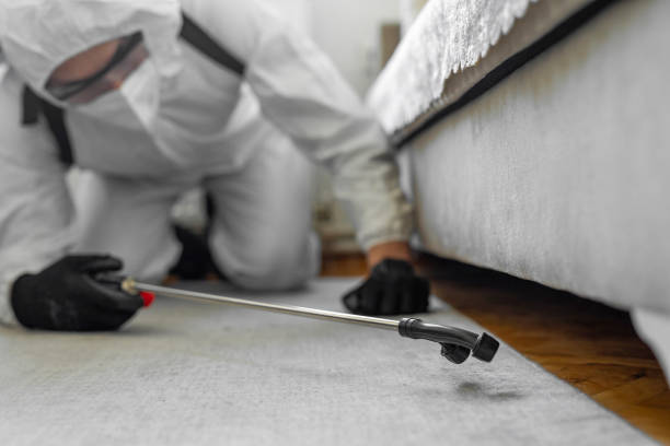 Professional Bed Bug Control technician working in Glenwood Landing, NY