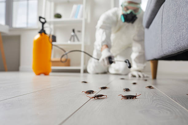 Trusted Rodent Control service in Glenwood Landing, NY - Nex Pest Control
