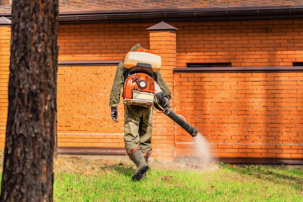 Trusted Fumigation Services service in Glenwood Landing, NY - Nex Pest Control
